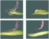 Figure 8 - Photos taken with a laser flash (for a few tens of microseconds) during the injection of molybdenum particles into an Ar-H2 plasma.