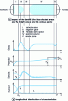 Figure 16 - Architecture of a normal low-pressure glow discharge