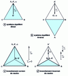 Figure 11 - Symmetrical components obtained for balanced systems and by confusing a network phase with the neutral conductor.