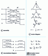 Figure 56 - Vector determination of the complex transformation factor of the Dyn11 cluster 