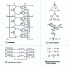 Figure 57 - Vector determination of the complex transformation factor of the Dzn10 cluster 