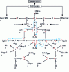 Figure 26 - Bicausal bond graph representation of the vehicle's longitudinal bicycle model