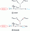 Figure 32 - Bond graphs of an active hydraulic suspension