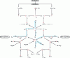 Figure 25 - Bond graph causal representation of the longitudinal vehicle bicycle model