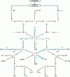 Figure 26 - Bicausal bond graph representation of the vehicle's longitudinal bicycle model