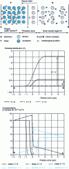 Figure 10 - Potential and carrier concentration distributions in an abrupt junction, at thermodynamic equilibrium and under forward and reverse bias