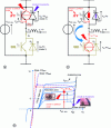 Figure 9 - Model following the initial fault in T1 or D1 until destruction of T1 or D1, consequences on the transition of functional characteristics to the usual fault modes of T1 or D1 and on transistor T2 until its destruction