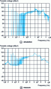 Figure 38 - Simulated and measured spectra of conducted disturbances