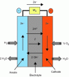 Figure 1 - Schematic diagram of a hydrogen/oxygen fuel cell