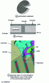 Figure 9 - Representative diagram of the stacking of the various layers making up the microbattery in the holes of a perforated substrate. [29] 