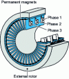 Figure 17 - Transverse flux motor with permanent magnets and global windings (from )