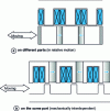 Figure 29 - Relative arrangement of power and excitation sources (from )