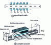 Figure 37 - Cylindrical linear motor with static magnets and moving coil