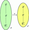 Figure 10 - Linear distribution application ...