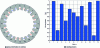 Figure 17 - Asymmetrical winding distribution 2 × 3-phase considered (Q = 24 and p = 1)