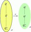 Figure 9 - Linear distribution application ...