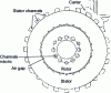 Figure 1 - Radial section of motor