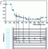 Figure 19 - Axial evolution of convective exchange
coefficient between crankcase and ventilated air