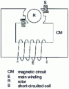 Figure 7 - Split-pole motor: schematic diagram