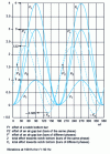 Figure 5 - Time evolution of the force towards the bottom of the notch of a three-phase machine with two bars per notch 