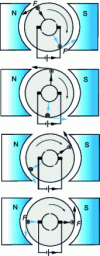 Figure 3 - Commutation in the simplified permanent magnet DC motor