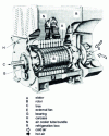 Figure 6 - IP54 asynchronous motor (ventilation code IC611)