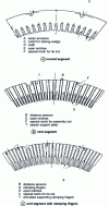 Figure 2 - Different types of stator core segments