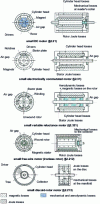 Figure 31 - Nature and location of losses in small electric motors