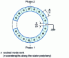 Figure 14 - Shinsei USR 60 motor excitation ring structure (split-phase ceramic)