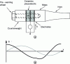 Figure 19 - Schematic diagram of a Langevin resonator (a). Strain and stress distribution along the transducer (b)