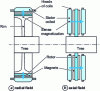 Figure 23 - Schematic architectures of radial-field (cylindrical) and axial-field (discoidal) synchronous machines