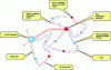 Figure 14 - Daisy petal structure