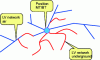 Figure 24 - Tree structure