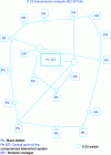 Figure 7 - Telecontrol communication network (Crédit Enédis)