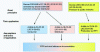 Figure 14 - Recap of the regulatory texts initiating the TSO's technical reference documentation