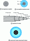 Figure 1 - Standard conductors