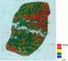 Figure 8 - Global view submission mapping