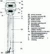 Figure 4 - Current transformer with isolated secondary (inverted type)