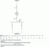 Figure 5 - Amperometric selectivity: the case of a transformer