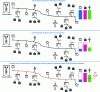 Figure 13 - Illustration of the impact of limiting HV generation for an outgoing feeder according to the generation and consumption situation.