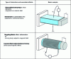 Figure 4 - Divalent interaction