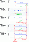 Figure 1 - Schematic representation of the self-discharge of a lithium-ion battery due to parasitic reactions at the positive and negative electrodes.