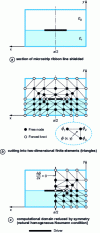 Figure 2 - Static study of the quasi-TEM mode of an FEM-shielded microstrip line