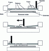Figure 2 - Illustration of the screen printing process