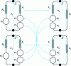 Figure 14 - Line coupling