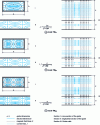 Figure 6 - TM modes of a rectangular waveguide (from )