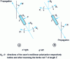 Figure 11 - Non-reciprocal polarization rotation phenomenon: Faraday effect