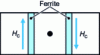 Figure 9 - Ferrite phase shifter, cross-section