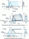 Figure 10 - Class C