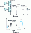 Figure 29 - Class S RF amplification